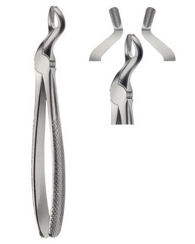 Tooth Extracting Forceps  